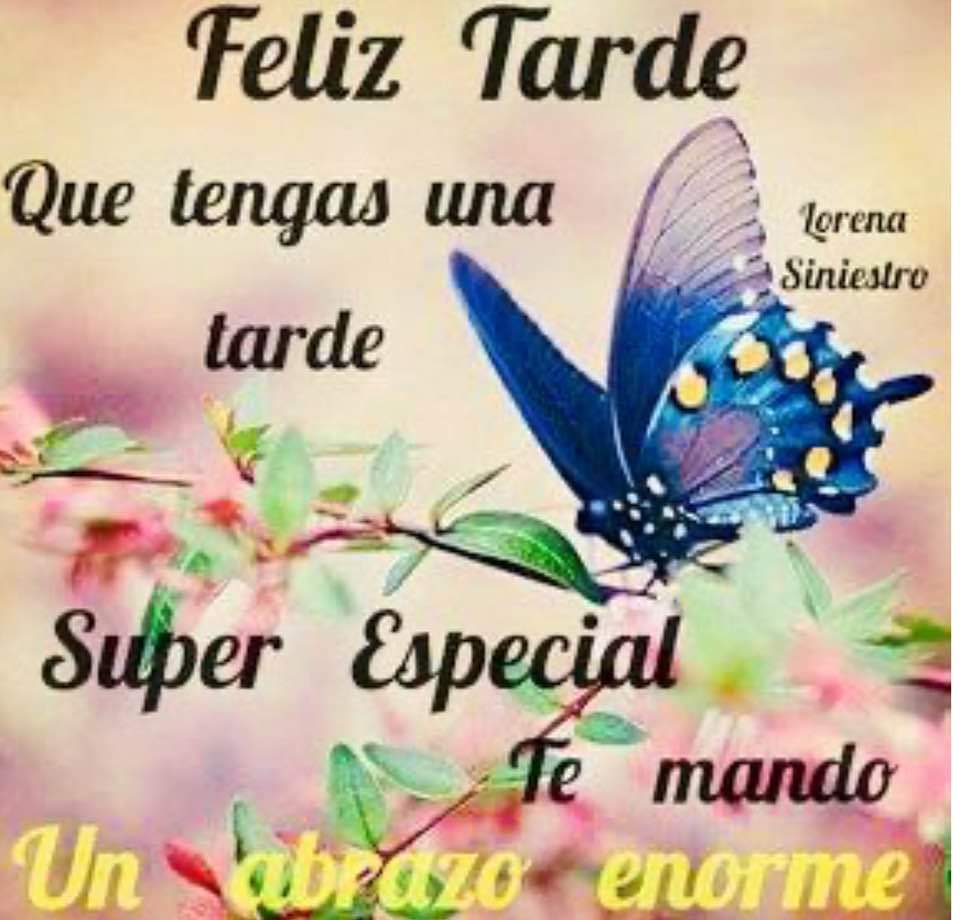 Buenas tardes