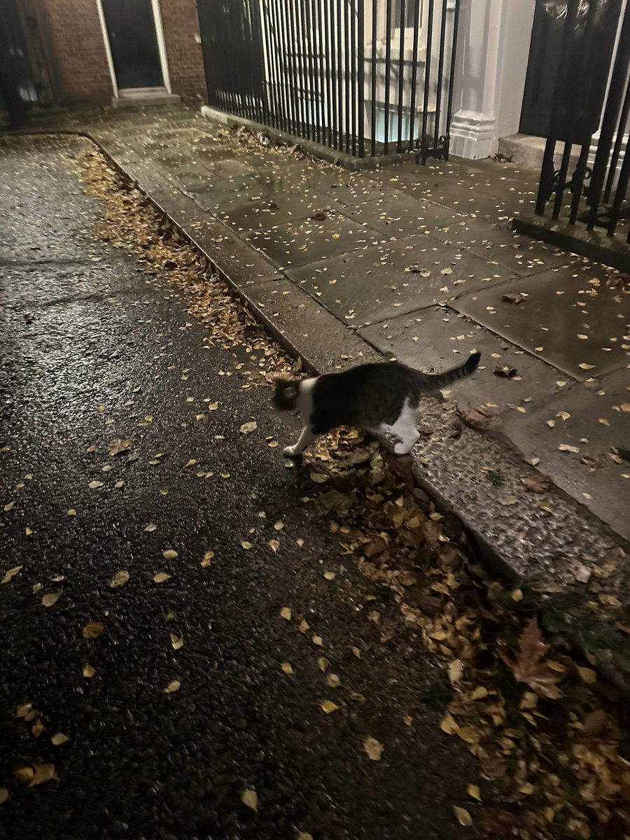 An absolute pleasure to attend a reception at 10 Downing Street this evening, after our research was nominated as sarcoma research of the year. I met the most important guy in the UK @Number10cat thanks @Sarcoma_UK