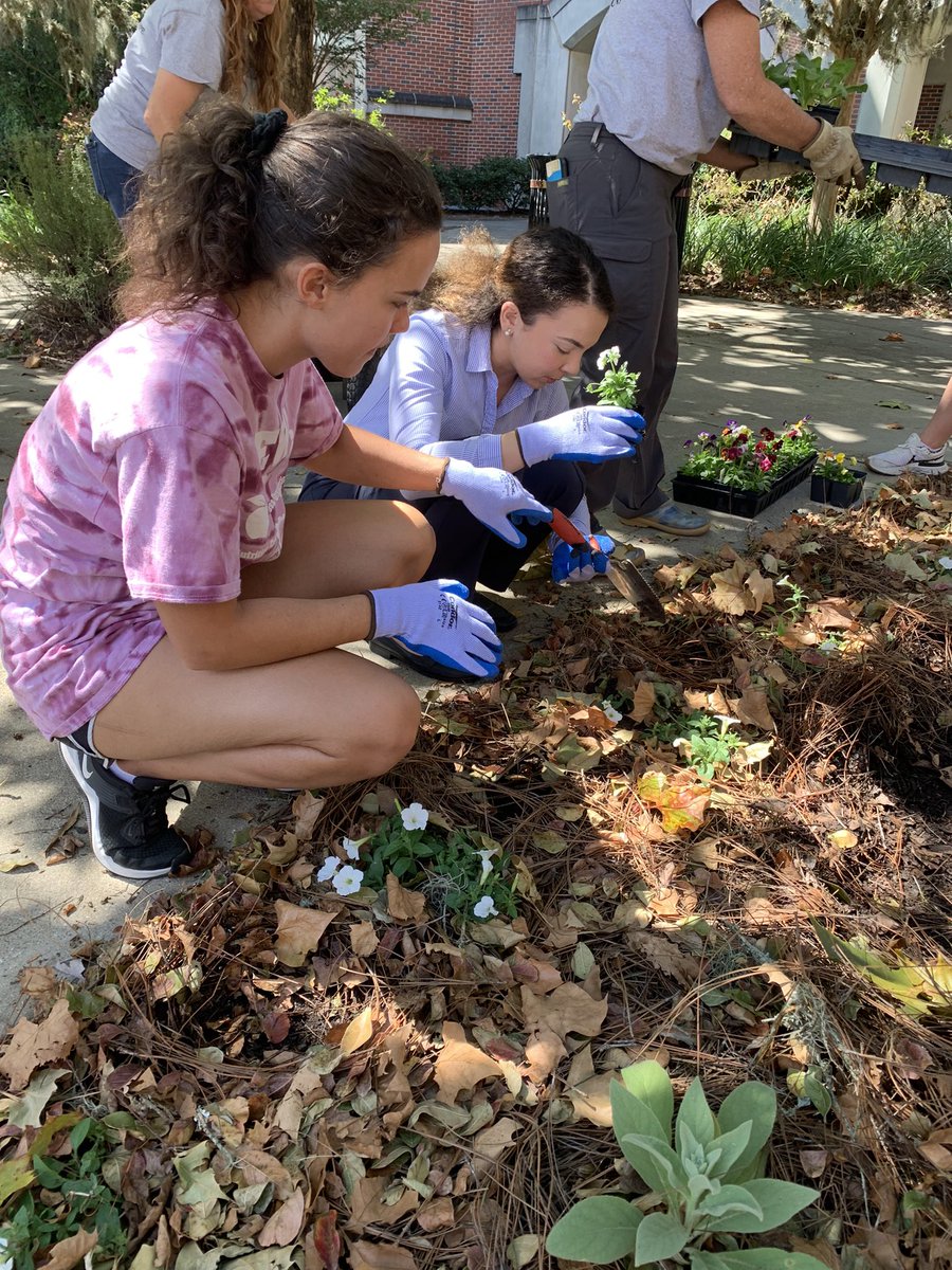 SHegleh's tweet photo. In this beautiful Fall 🍁 Season I miss the natural beauty of #Tallahassee city @Visit_Tally working on planting the garden at my home and at charming @FloridaState college of #Medicine campus with friends and colleagues #SeasonGreetings to ALL #MedTwitter @AMSANational https://t.co/su0XfAGVV6