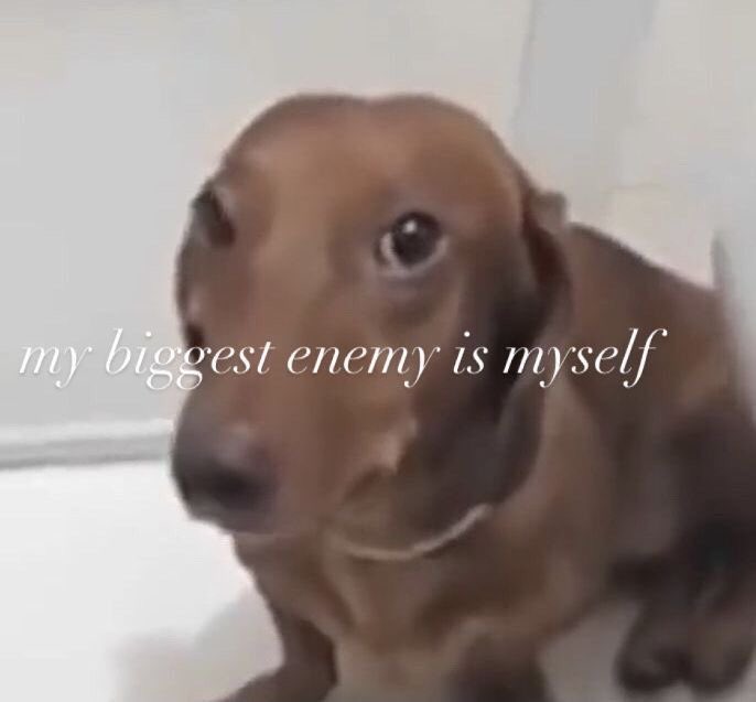 ؘ (@lalaapinn) on Twitter photo 