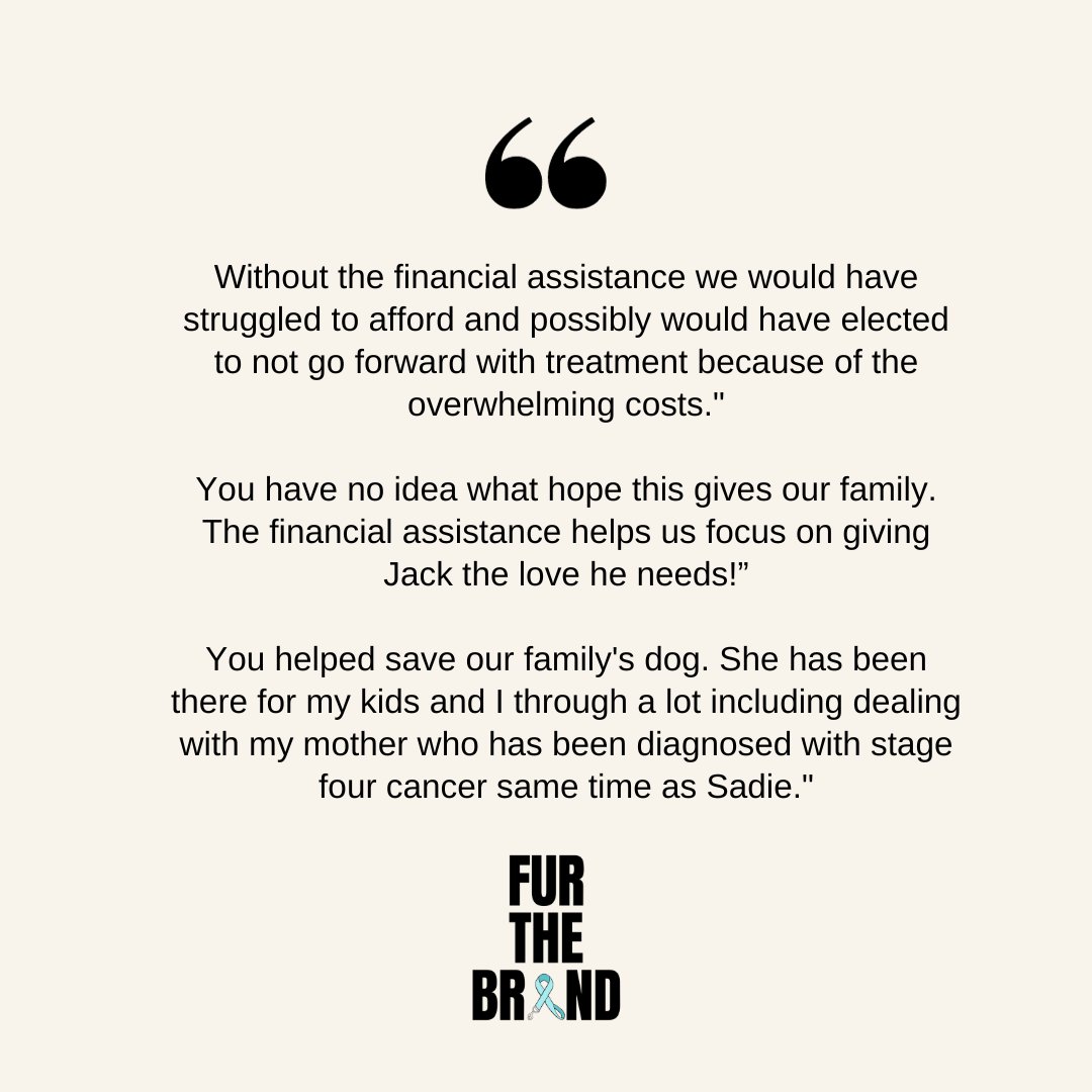 Fur The Brand tweet media