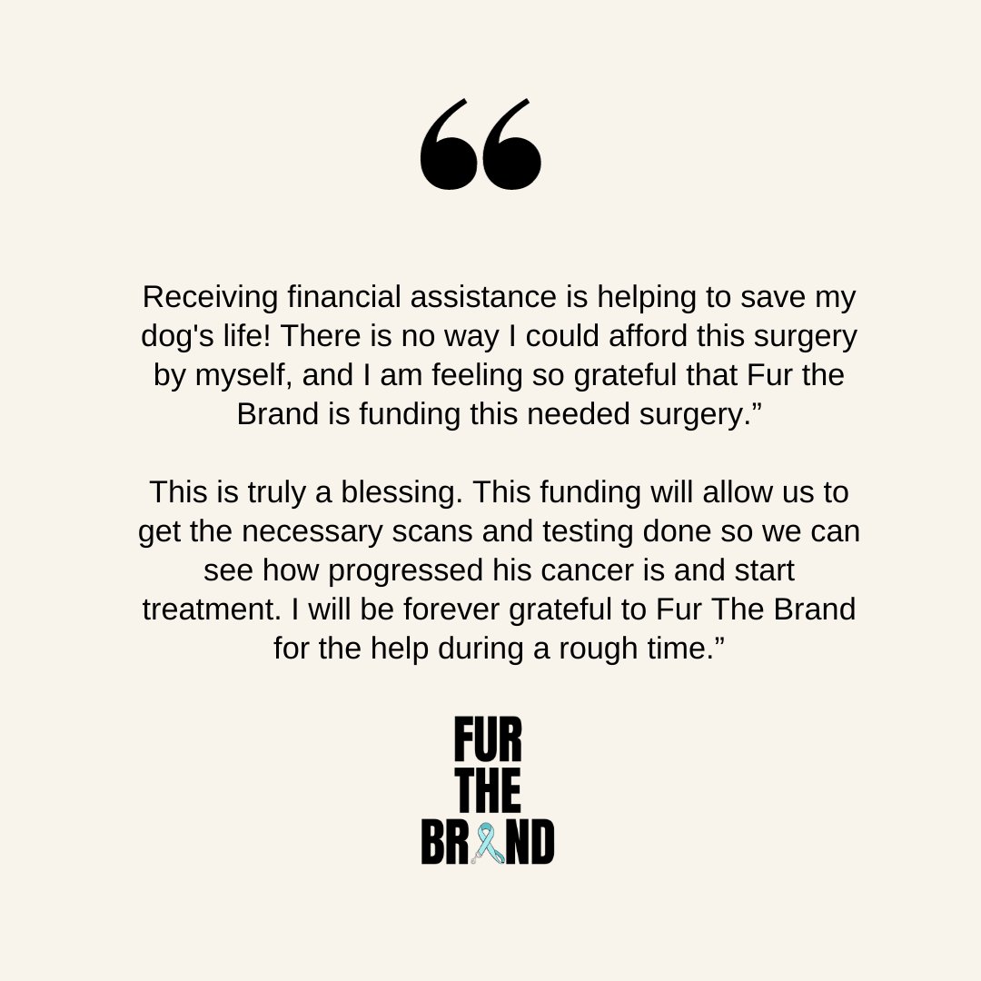 Fur The Brand tweet media