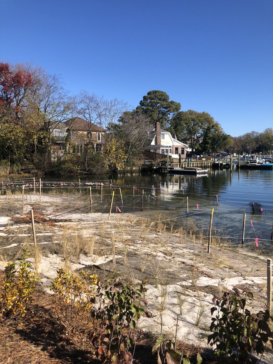 Mind Weeriyanun (she/they) (@pweeriyanun) on Twitter photo Impressed and greatly inspired by the field trip to Ryan Resilience Lab (a part of <a href="/ElizRiverProj/">Elizabeth River Project</a>), where people are doing education and outreach on how to live more resiliently and sustainably in the face of climate change and sea level rise. ๐พ Impressed and greatly inspired by the field trip to Ryan Resilience Lab (a part of <a href="/ElizRiverProj/">Elizabeth River Project</a>), where people are doing education and outreach on how to live more resiliently and sustainably in the face of climate change and sea level rise. ๐พ