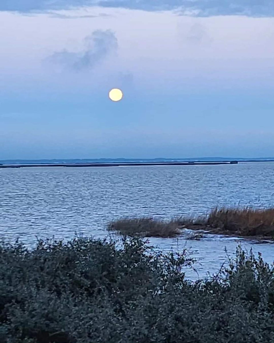 The setting full moon over Magnolia Bay 🌕 #moon #fullmoon #magnoliabay #corollaouterbanks #corolla #currituck #currituckobx #obxlife #beachvacation #vacationrental #saltlife #beachholiday #Relax #Refresh #Recharge #Come #stay #play #sand #sea #serenity #sanctuary #obx #tranquil