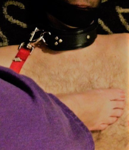 I love feeling the heart of a #slave beating beneath My #feet!

#MZBBW #FemaleSupremacy #Footslave #footworship #footfetish