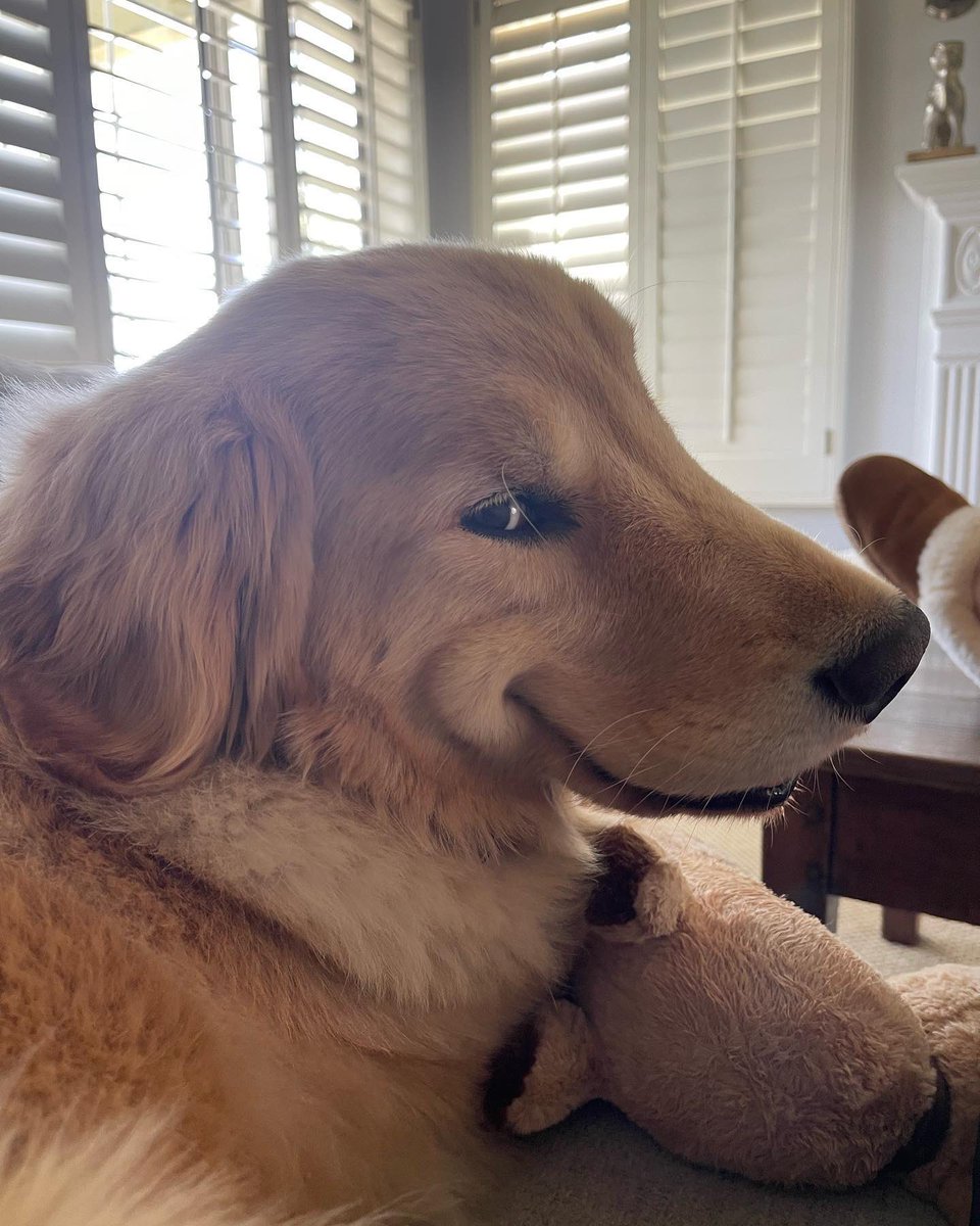 This is Rocky. He just mentioned that it smells like updog in here. If you are unfamiliar with the meaning of that term, feel free to inquire. 13/10