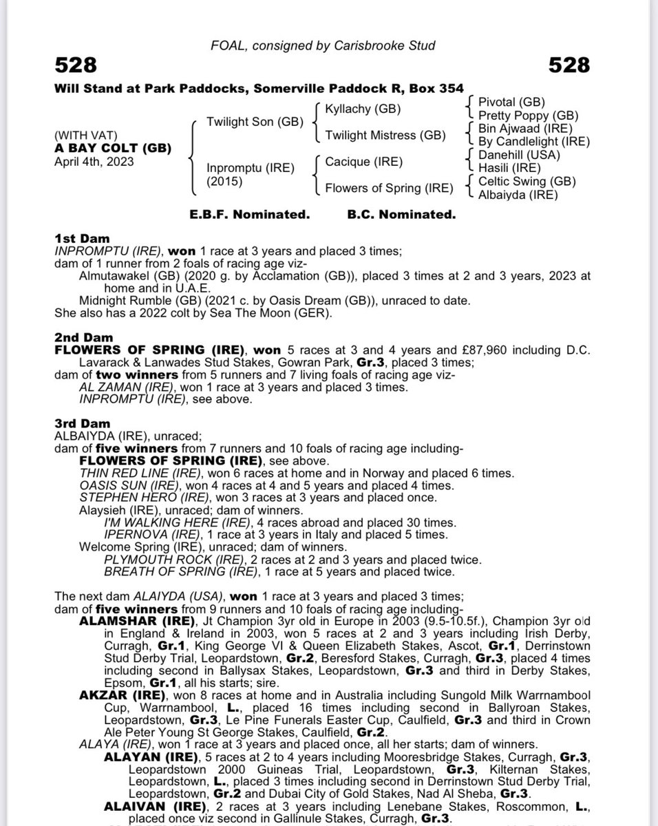 Lot 528 @Tattersalls1766 Dec Foal Sale is a colt by @CPStudOfficial Twilight Son ex winning mare Inpromptu (Cacique). From the family of Flowers of Spring, Alamshar, Alayan & Alaivan.