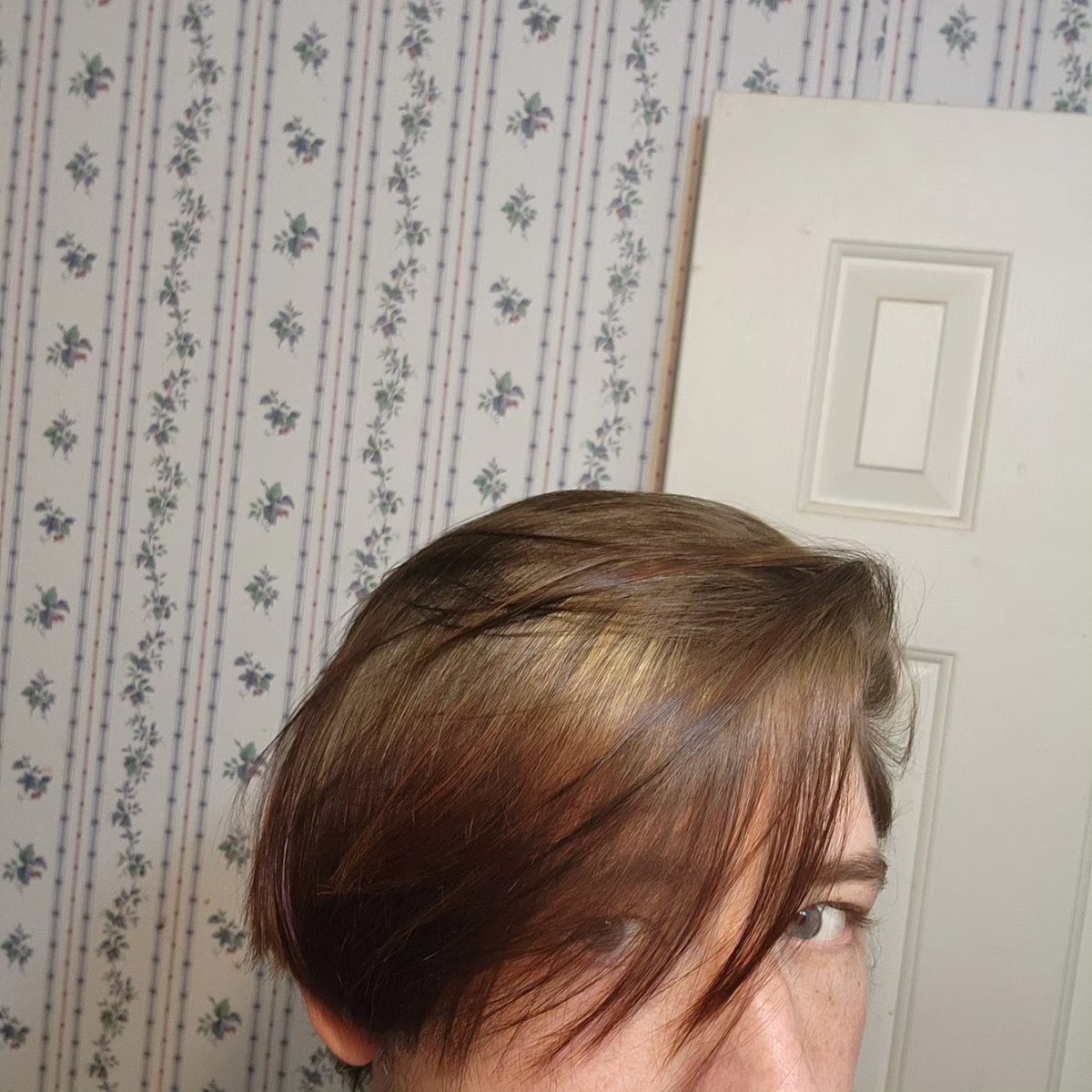 DustyW95470's tweet photo. I did these blonde highlights myself 👍😊🖤 https://t.co/f809t000d6