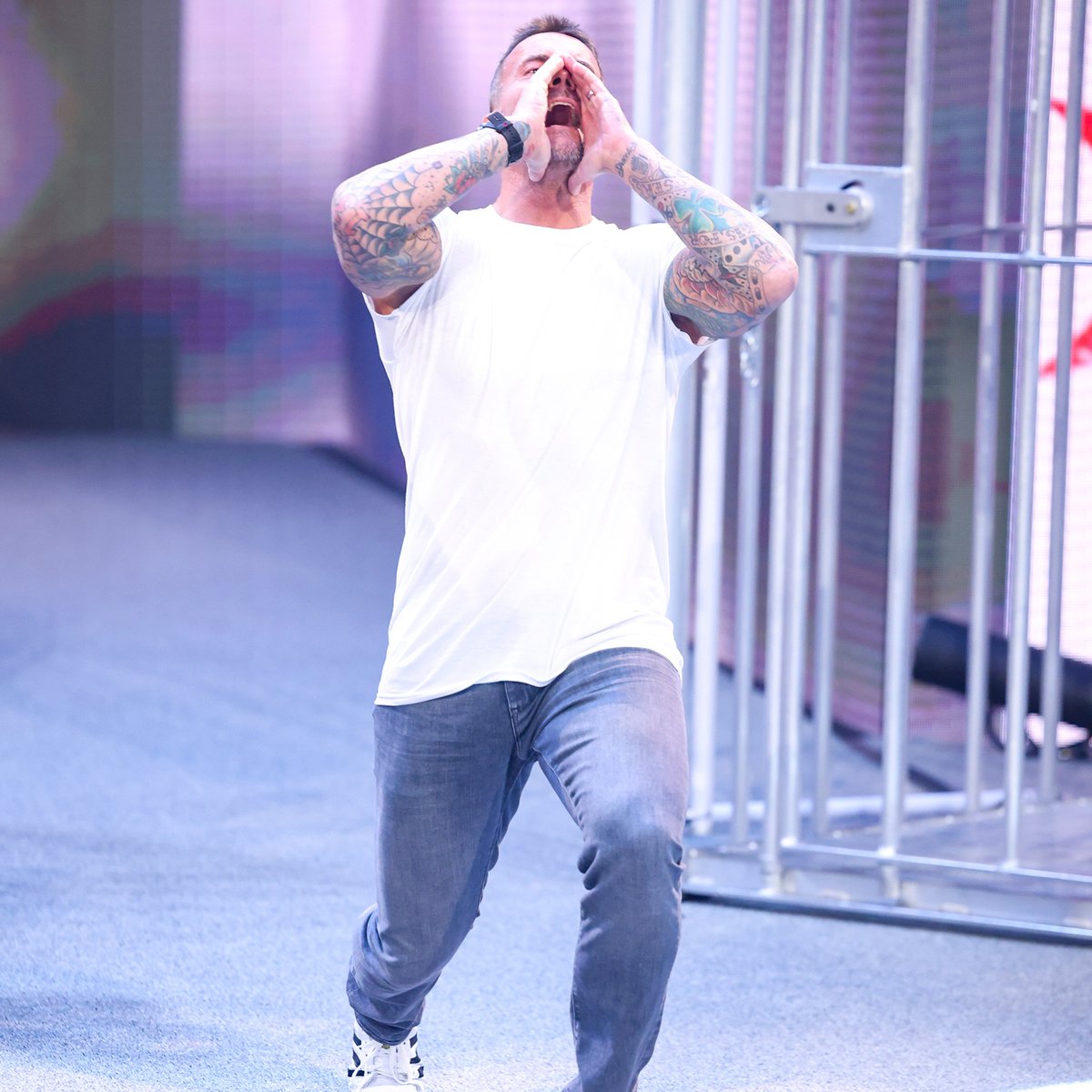 WWE tweet media