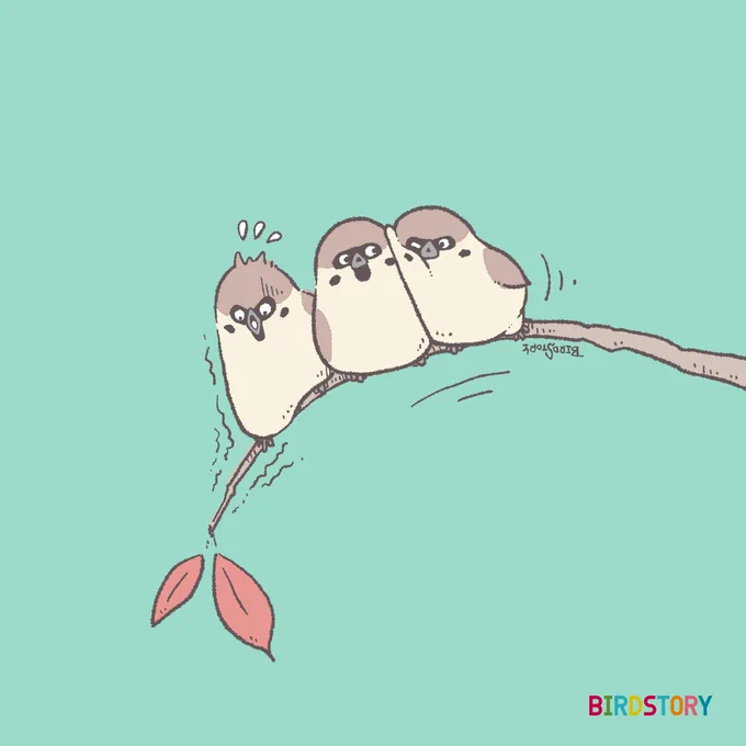 おはようございます。 本日は11月28日、語呂合わせから、いい庭の日とのことです 朝の散歩にて、ふっくらスズメさんに元気をもらう今日この頃です #BIRDSTORY #すずめ