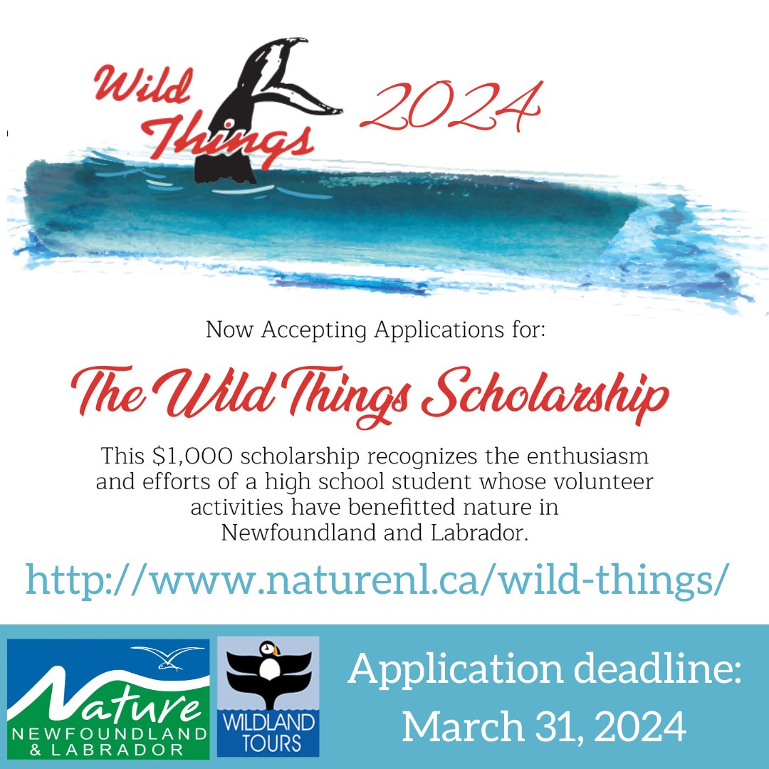 We are now accepting applications for the 2024 Wild Things Scholarship! Applicants must be a high school student in Newfoundland & Labrador. Deadline to apply is March 31, 2024. See our website for full details: naturenl.ca/wild-things/ #explorenl #naturenl #nl