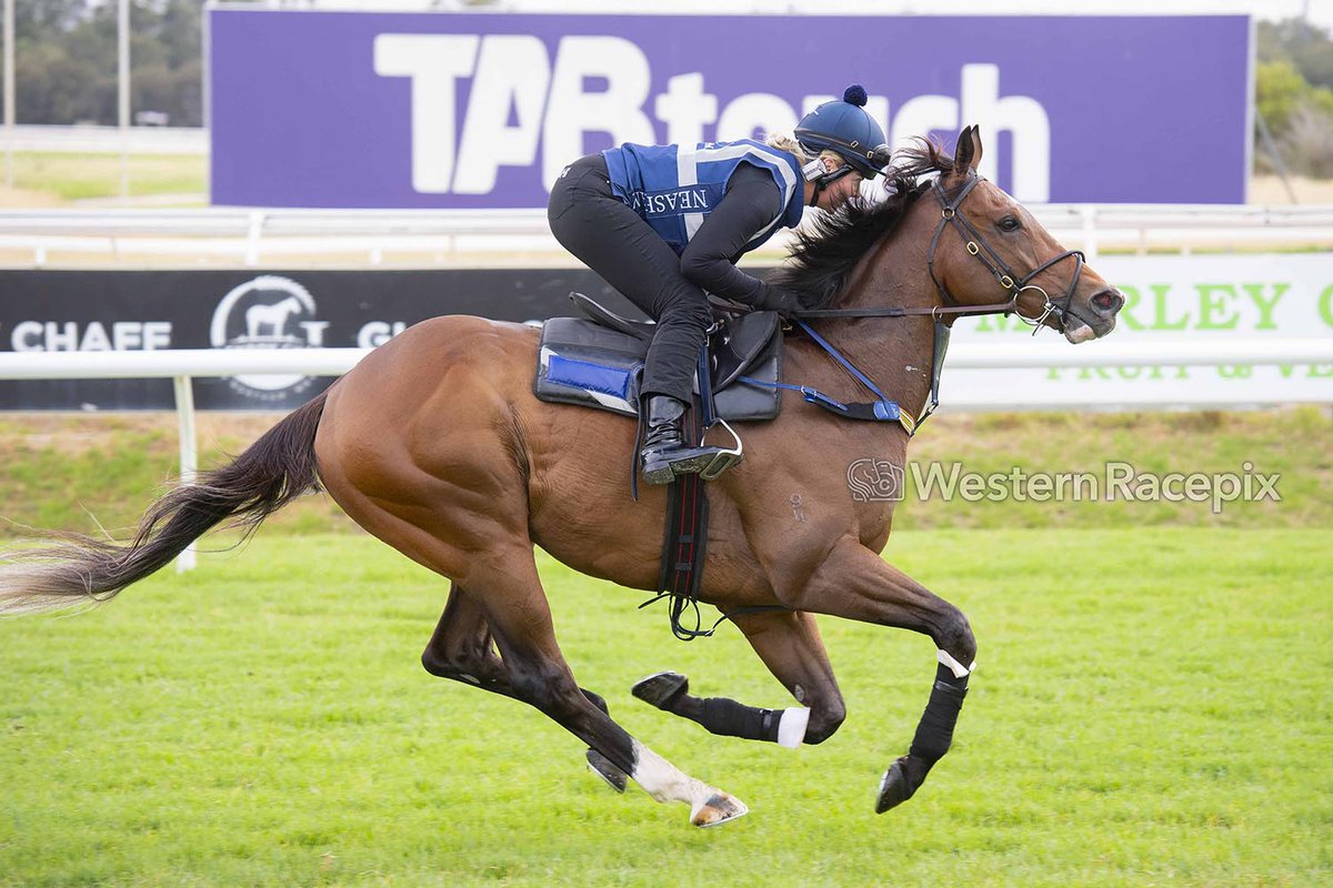 Western Racepix tweet media