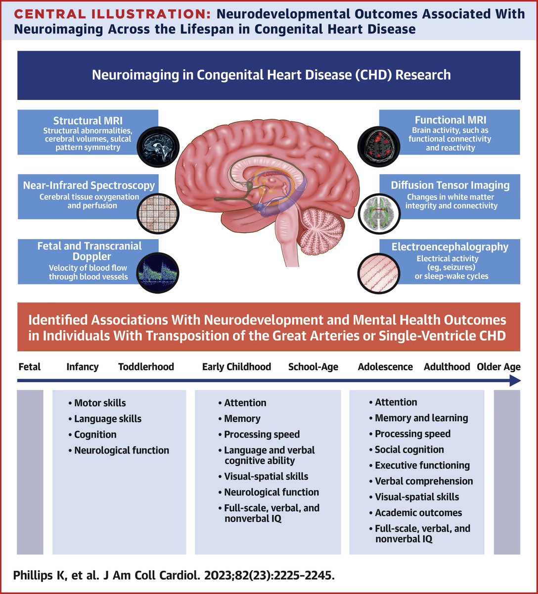 Katelyn Phillips (@katelynflips) on Twitter photo Excited to share our <a href="/JACCJournals/">JACC Journals</a> systematic review about what neuroimaging can tell us about ND outcomes in #CHD 🧠
Thanks to co-authors <a href="/NKasparian/">Dr. Nadine Kasparian</a> <a href="/_FarahAkram/">Farah Akram</a> <a href="/Dr_BCallaghan/">Dr. Bridget Callaghan</a> Dr Rajagopolan & Dr Newburger
authors.elsevier.com/a/1i9rq2d9GHwZ… Excited to share our <a href="/JACCJournals/">JACC Journals</a> systematic review about what neuroimaging can tell us about ND outcomes in #CHD 🧠
Thanks to co-authors <a href="/NKasparian/">Dr. Nadine Kasparian</a> <a href="/_FarahAkram/">Farah Akram</a> <a href="/Dr_BCallaghan/">Dr. Bridget Callaghan</a> Dr Rajagopolan & Dr Newburger
authors.elsevier.com/a/1i9rq2d9GHwZ…