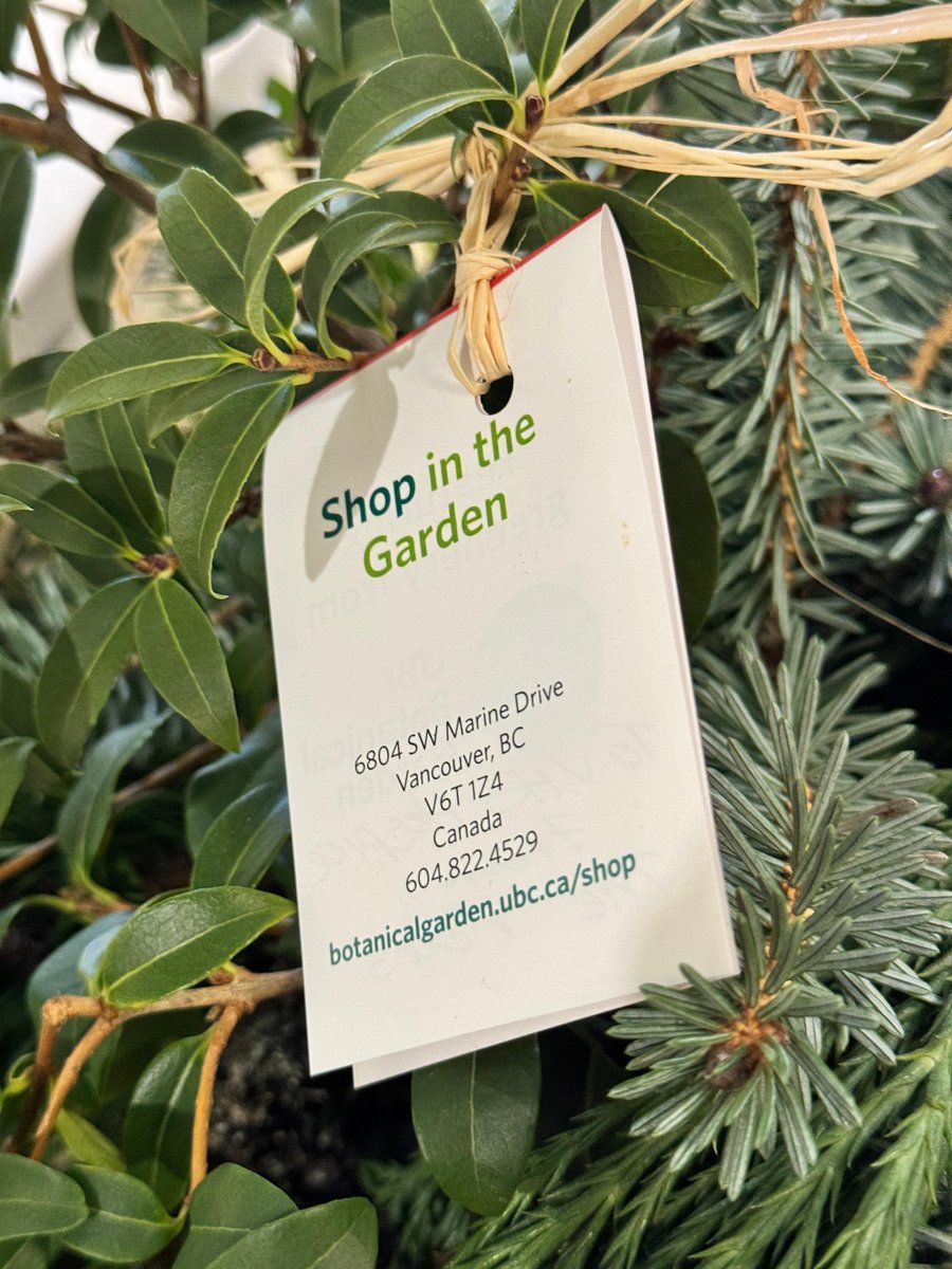 🌿 Grateful for UBC Botanical Garden - our dear Friends of the Garden! 🌺 @ubcgarden Thank you for the stunning holiday bouquet. For 8 years, your generosity has made our home festive. The bird nestled in the boughs is a charming touch! 🕊️