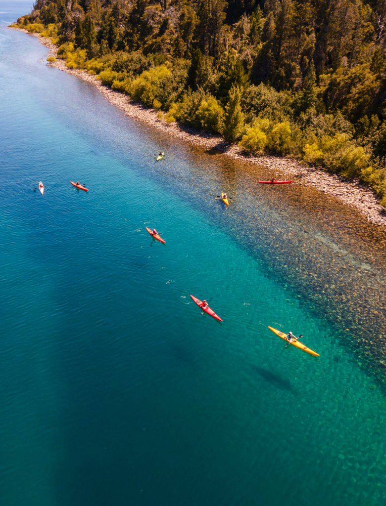 Paco Almeida tweet media