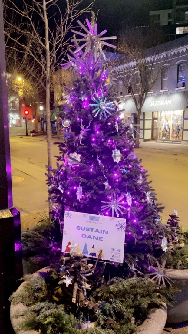 For the holidays, Sustain Dane adopted a tree in Downtown Madison for the Seasonal Planter Partner Shine On Madison program. In our sustainable fashion, we decorated the tree/planters with aluminum can ornaments and reclaimed wood. Visit our tree on the 300 block of State St.