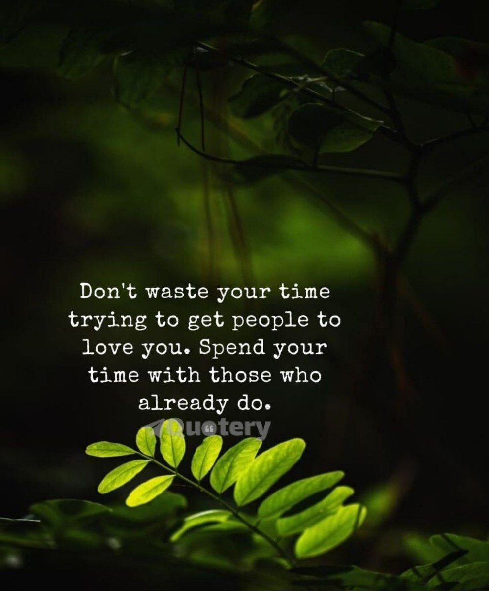 Don't waste your time trying to get people to love you. Spend your time with those who already do. #Quotes #JoyTrain #Lightupthelove #LUTL #Babygo #Inspireu2action #Goldenhearts #PositiveVibes #KindnessMatters #ThinkBIGSundayWithMarsha