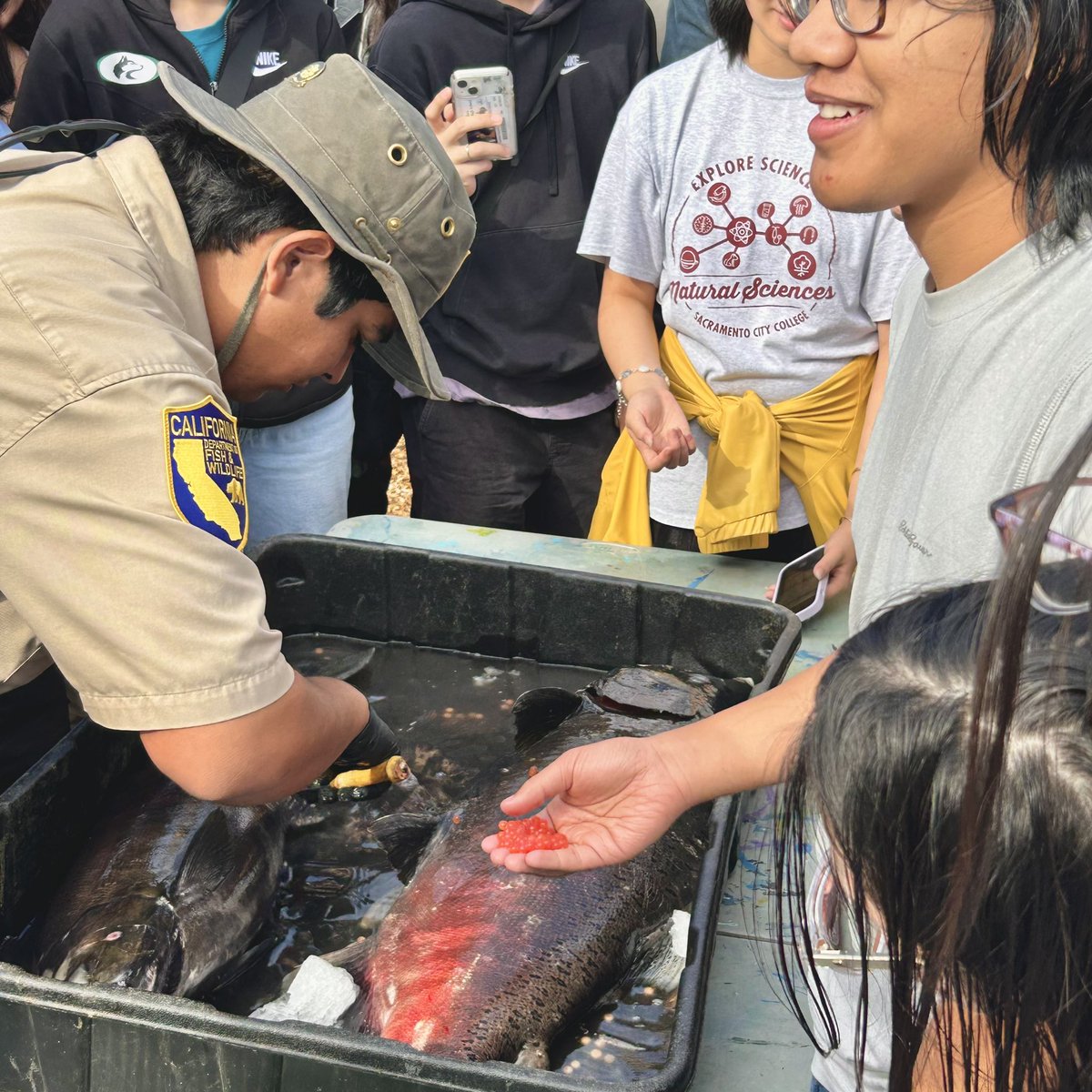 shsbiotech's tweet photo. Our Biotech Seniors went on a field trip to the Nimbus Fish Hatchery! Students were able to learn about the spawning and migration of both salmon and steelhead trout. https://t.co/l08SToDmkj