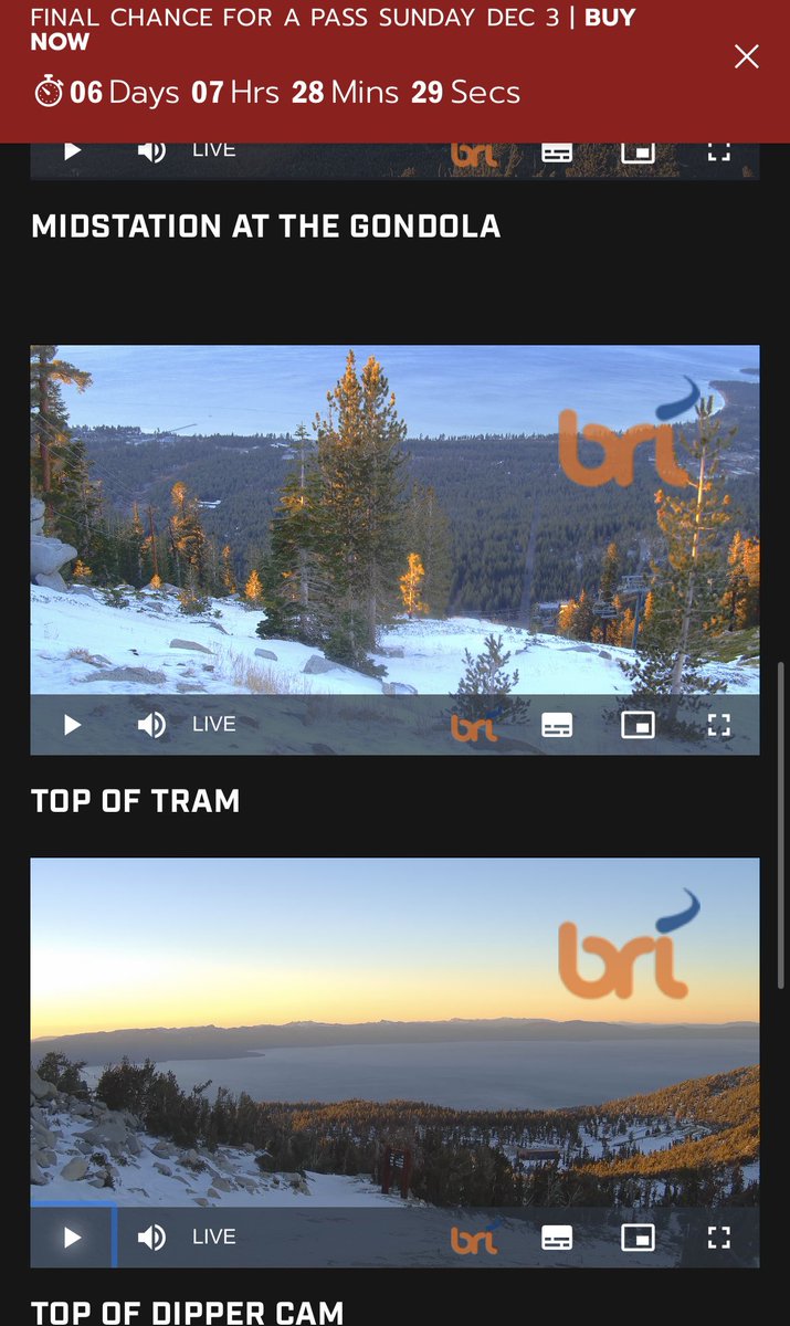 verodorbeckerv's tweet image. Estaba a punto de comprar mi epic pass y hotel para este fin de semana... @HVconditions @Northstar_CA hubiera sido 💵 tirado a la basura 😮‍💨