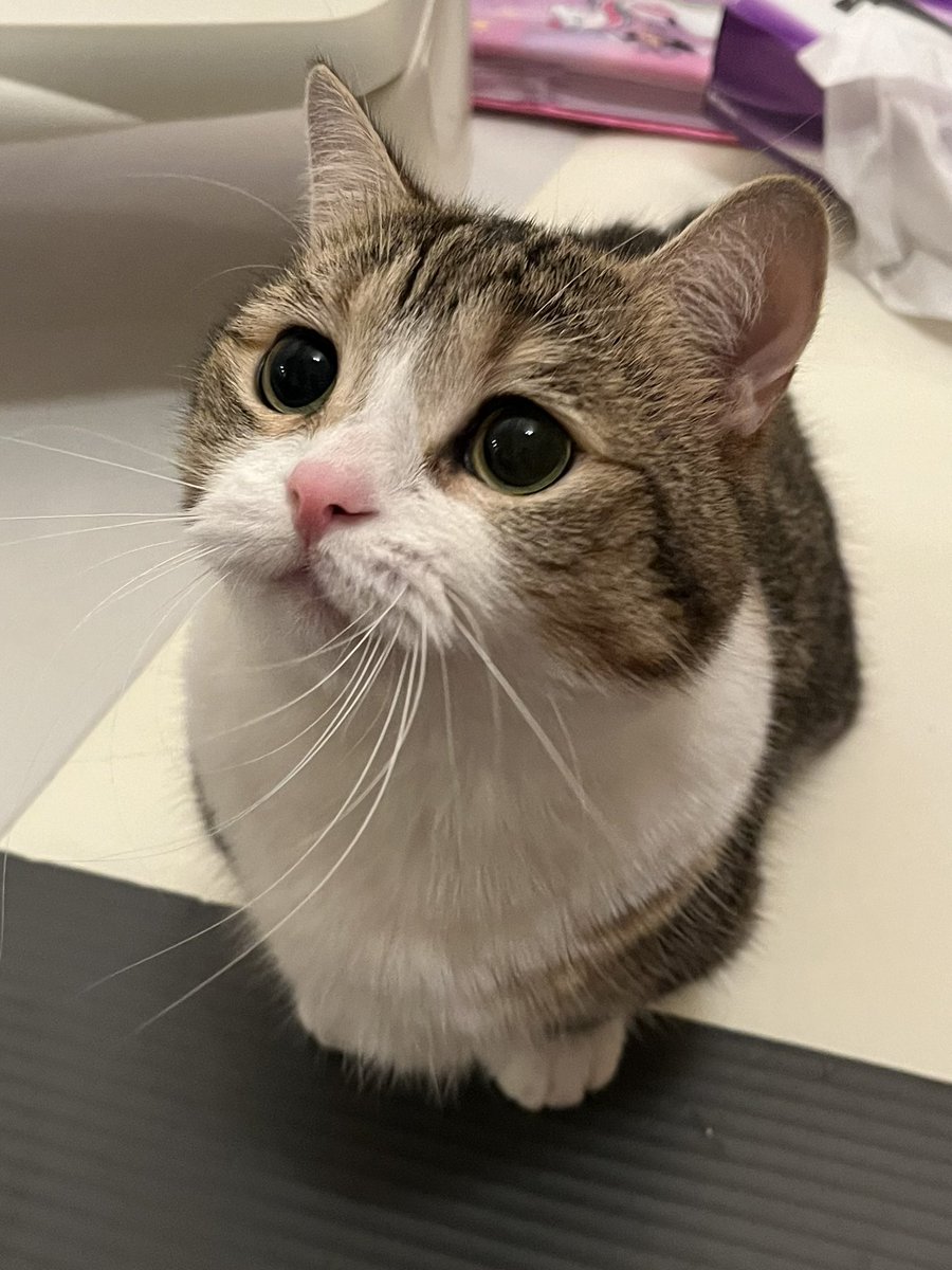 _yogusuke's tweet photo. 最近の🥺 https://t.co/AQUZqiCani