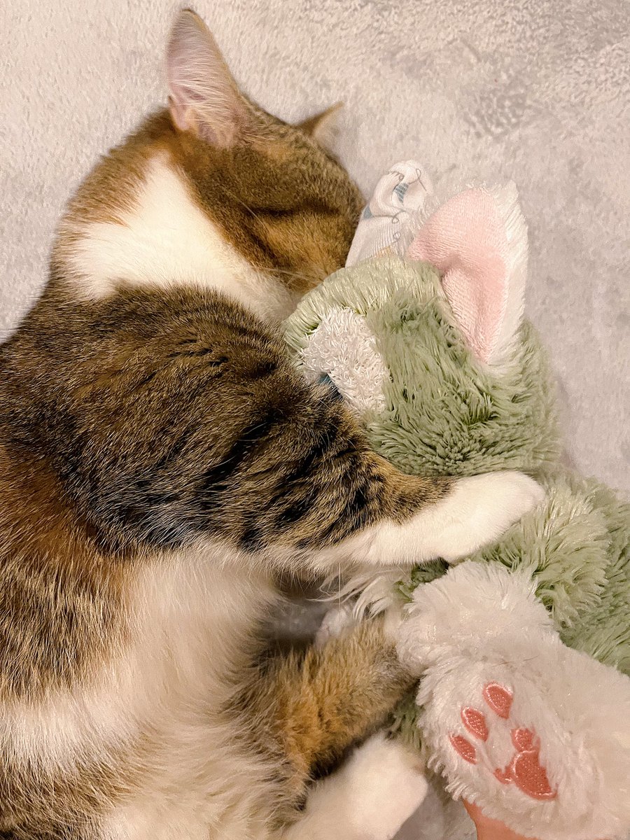 _yogusuke's tweet photo. 最近の🥺 https://t.co/AQUZqiCani