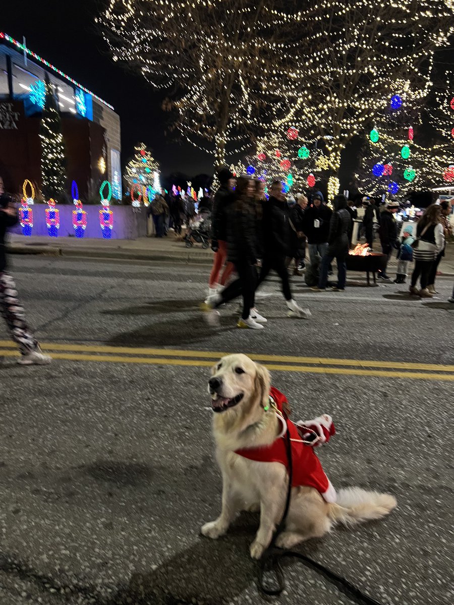 Great turn out for ⁦@CityofPapillion⁩ Winter Lighting Festival tonight! Saw many old friends & made many new ones! We love our community!🐾🎄#therapydog #hugdognotadrugdog ⁦@SarpySheriff⁩ ⁦@papillionpolice⁩ ⁦@PapillionFire⁩