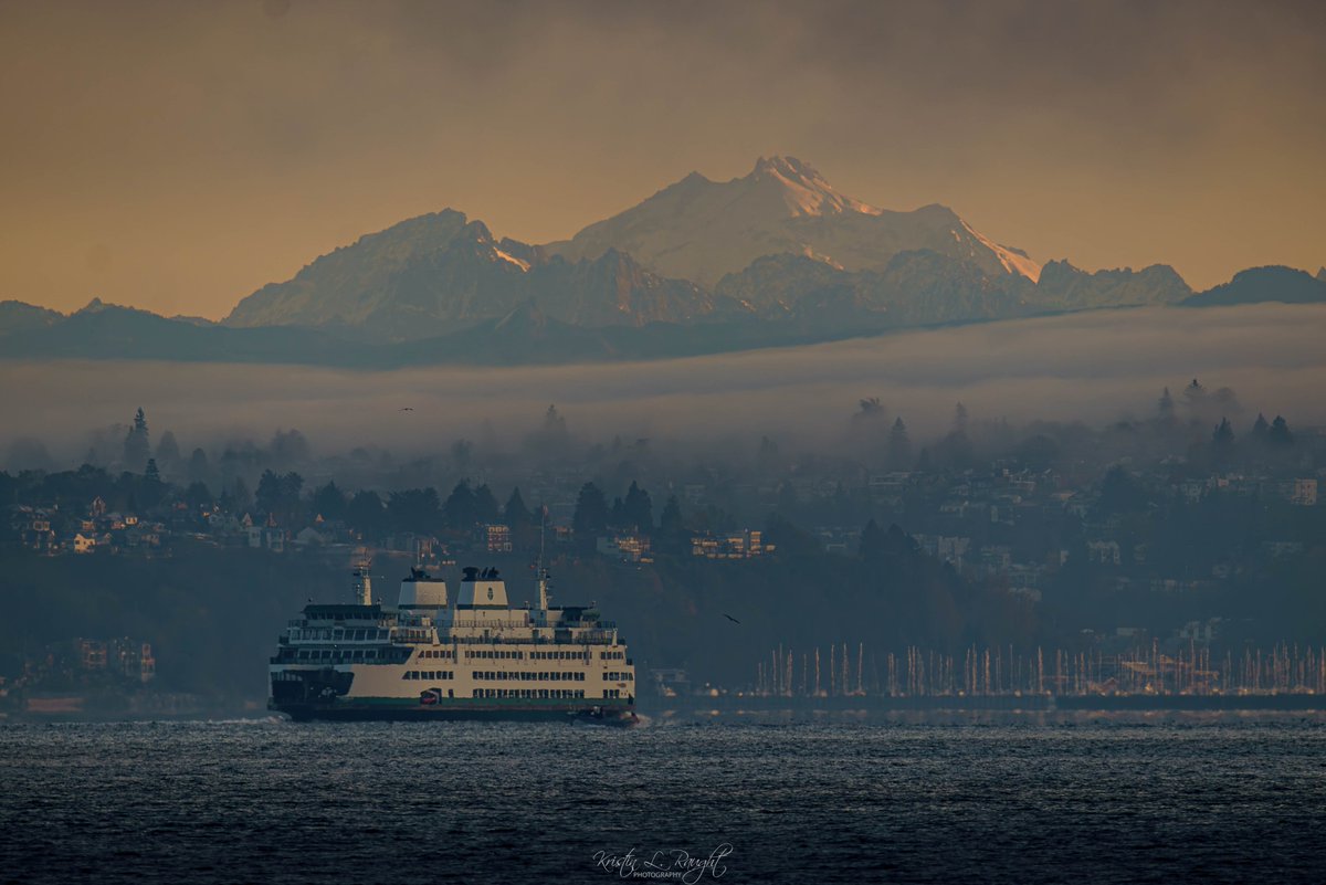 KristinLRaught's tweet image. Driving around the island, it was so foggy in some places, it made me wonder if people could tell how beautiful it was when you get out into the light.
