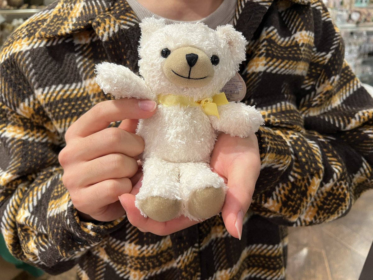 スポニチ芸能 on X