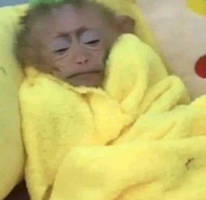 mi parte favorita del día es cuando estoy así en mi cama