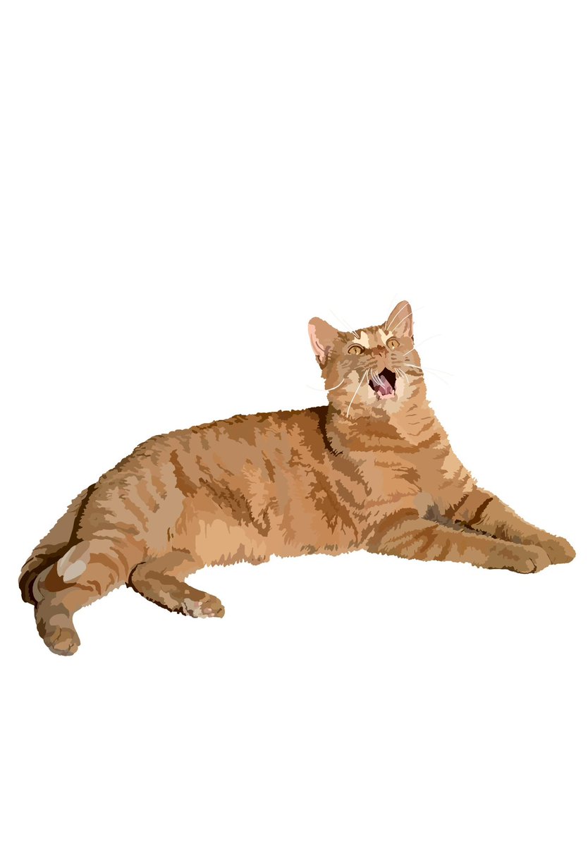 Wizards_Craft's tweet photo. I’m now open for #commission! I digitally draw pets in my style like the ones in this post. If you’d like memorial art of your pet, dm me with a pic of your pet and if you’d like just the #digitalart or if you’d like prints made as well! (5x7 or 8.5x11) https://t.co/2Ewllfz9cg