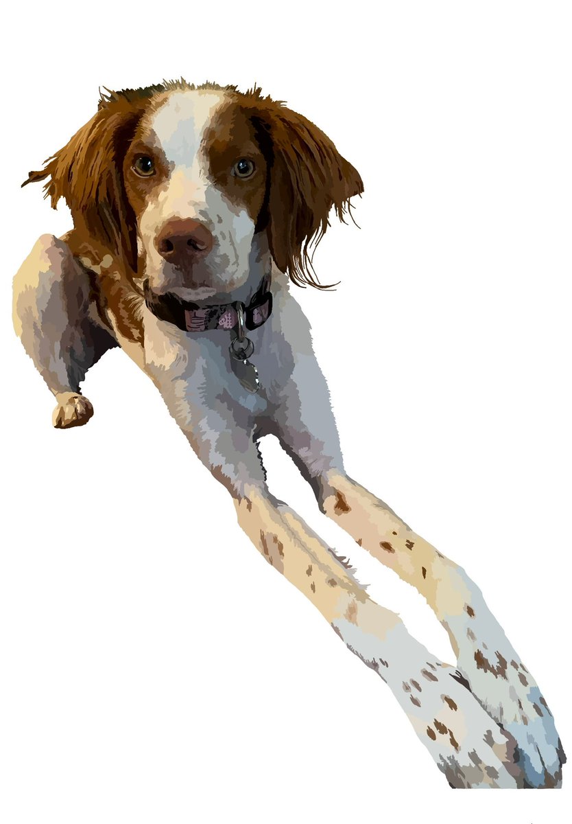 Wizards_Craft's tweet photo. I’m now open for #commission! I digitally draw pets in my style like the ones in this post. If you’d like memorial art of your pet, dm me with a pic of your pet and if you’d like just the #digitalart or if you’d like prints made as well! (5x7 or 8.5x11) https://t.co/2Ewllfz9cg