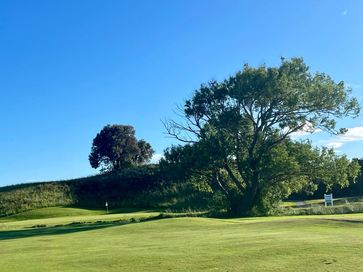 GerrieGreyling's tweet photo. Should I stay or should I go? #Waikanae #Golf #Tenth ☀️⛳️🏌🏻‍♂️ https://t.co/GNd6a7Zpq3