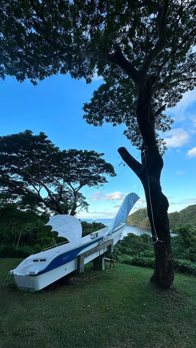 Cedric Castillo tweet media