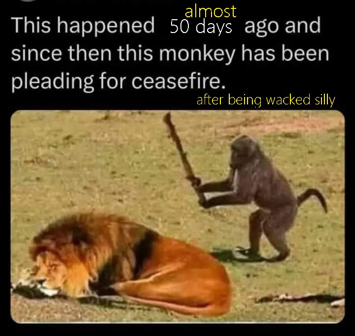 stanstanoi's tweet photo. @bgraulau You should not be https://t.co/1aLNlAsAaf