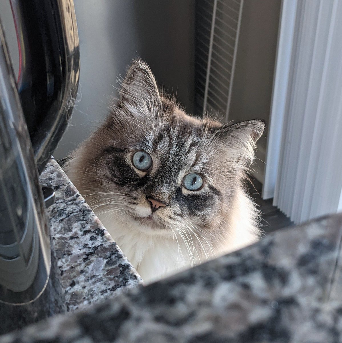 Daniel | ScienceSocks et al. tweet media