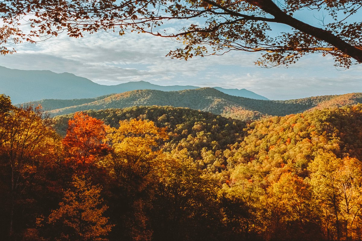 johncwingfield's tweet photo. Autumn in the Great Smokey Mountains, on 35mm film https://t.co/0XzvXmVRin