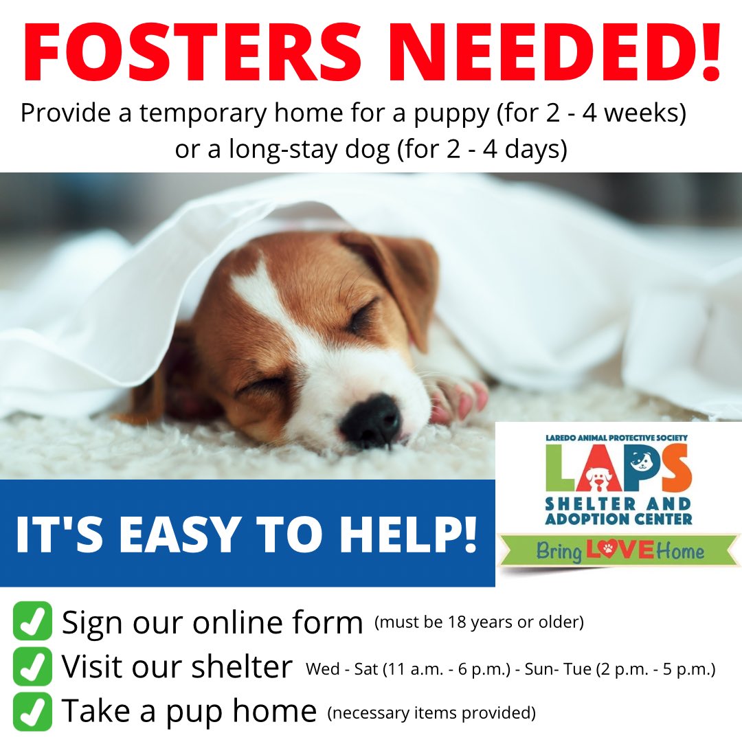 We need fosters!!! 🐶 We have several puppies in our office that need a temporary home. Want an even shorter commitment? Foster one of our long-stay dogs to give them a break from shelter living. 

Visit our website to learn more: petadoptlaredo.org/foster