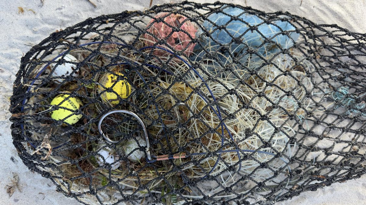 SharkSafetyWA's tweet photo. #ForrestBeach #WA
Todays catch.
Includes a #fishing #rig targeting #sharks. Oh…. And lots of golf balls. https://t.co/wCAAgVA3gN