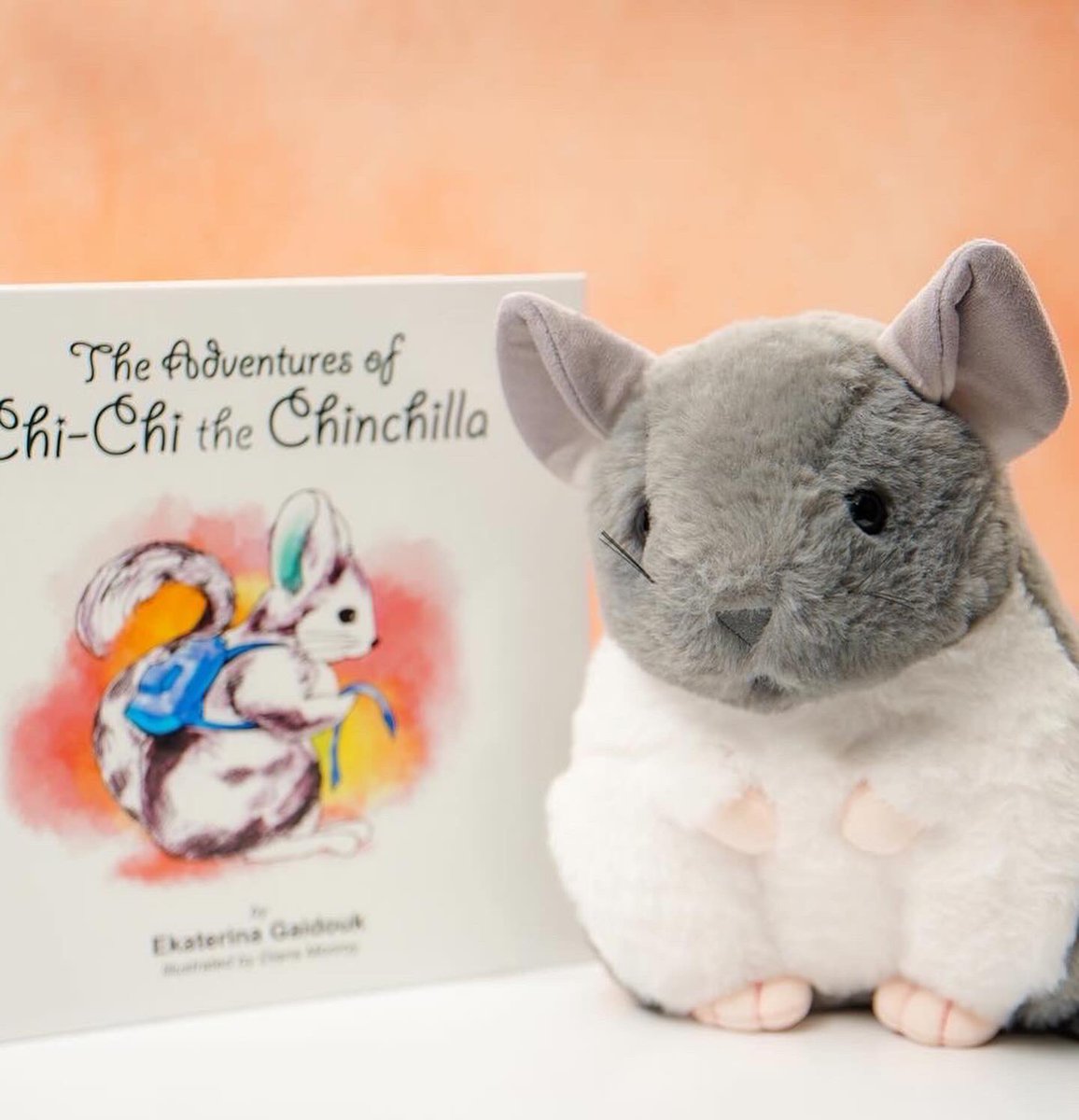 advofchichi's tweet photo. Celebrate Small Business Saturday with us! 🎉 Dive into a world of cuteness at our store, where each chinchilla plush toy can be paired with our unique chinchilla children's books! Perfect for gifts ! #ShopSmall #chinchillatime  🐭💕#chinchillatime #smallbusinesssaturday  https://t.co/lJBeagH0uc