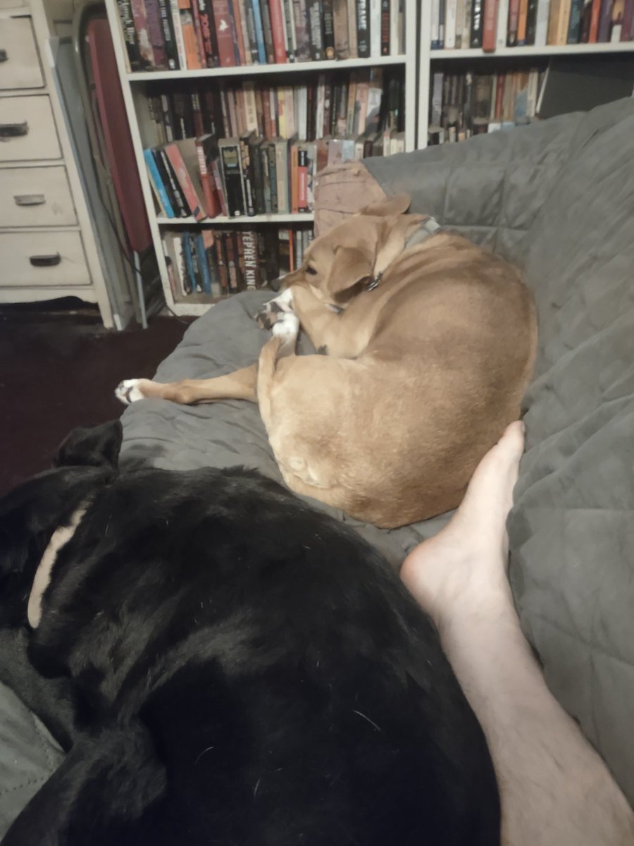 There's been a changing of the guard. Also, please don't be distracted by my incredibly sexy foot.