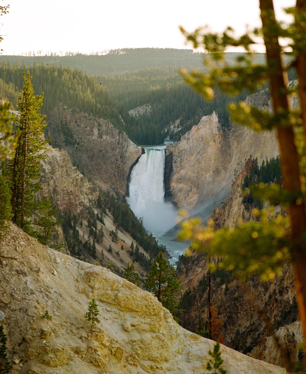 Freshened up my print store with some new photos that I took while living on the road in my van over the summer. 

lurker-life.com/products