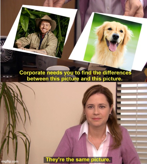 Thegump1's tweet photo. Sam really has golden retriever energy 😆 #ImACeleb https://t.co/rFCVvPPDCx