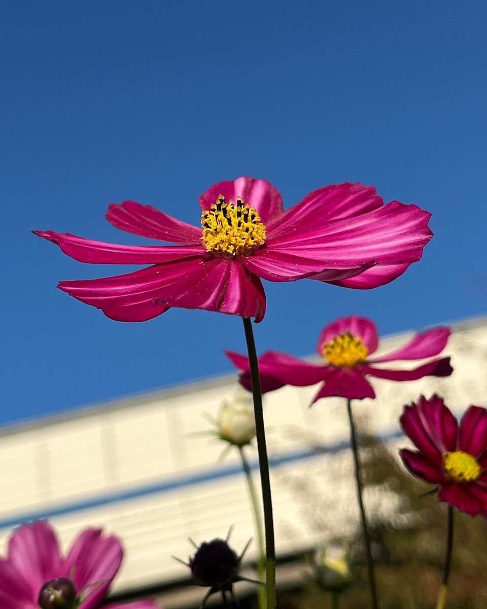 martin (@mar25220) on Twitter photo 