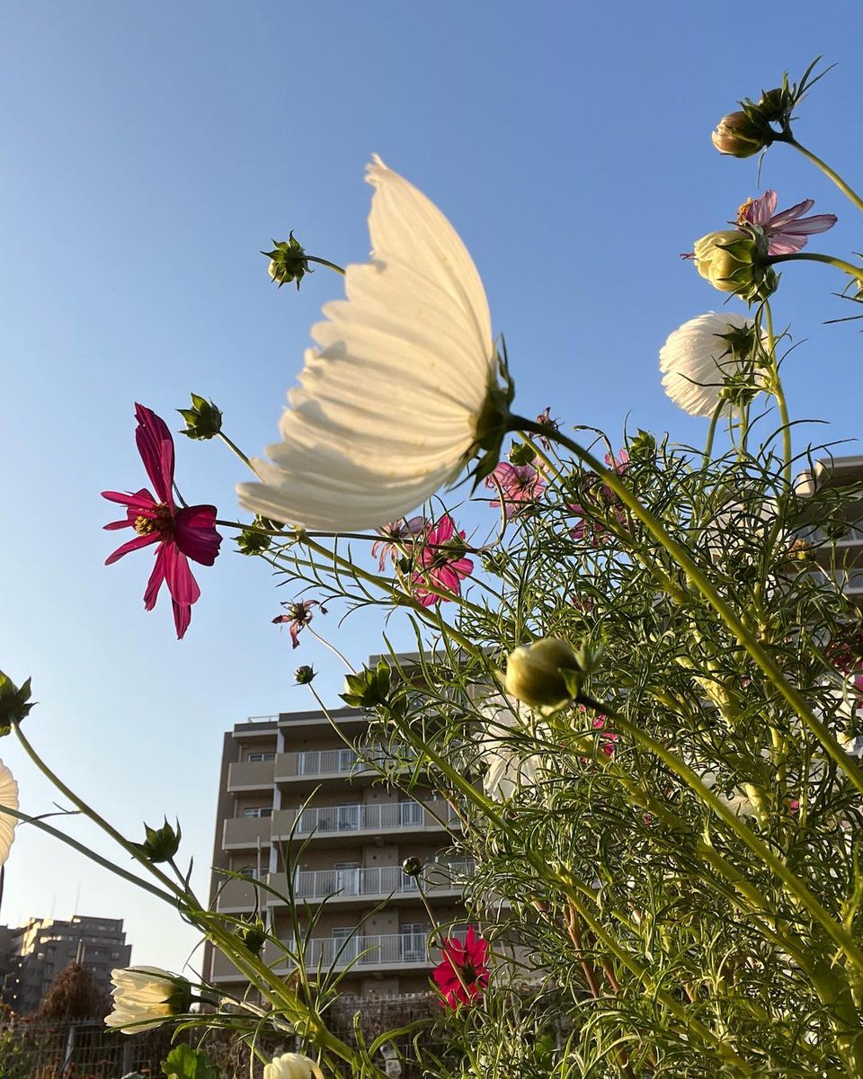 martin (@mar25220) on Twitter photo 