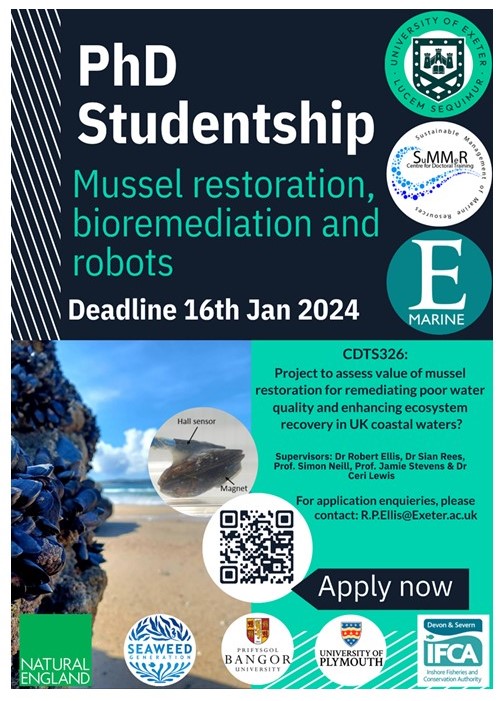 Are mussels the key to clean inshore waters - help find out! @CDT_SuMMeR PhD opportunity with me, @Dr_Sian_Rees, Prof. Simon Neill, @CezzaLew and @ExeterEvo, in partnership with @DevonSevernIFCA, @NE_DCIoS & @SeaweedGen For more info & to apply👉tinyurl.com/CDT-SuMMeR-Stu… PLS RT