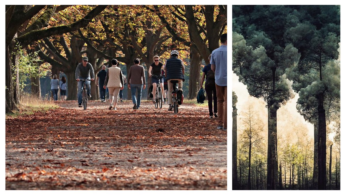 SensoFood solutions tweet media