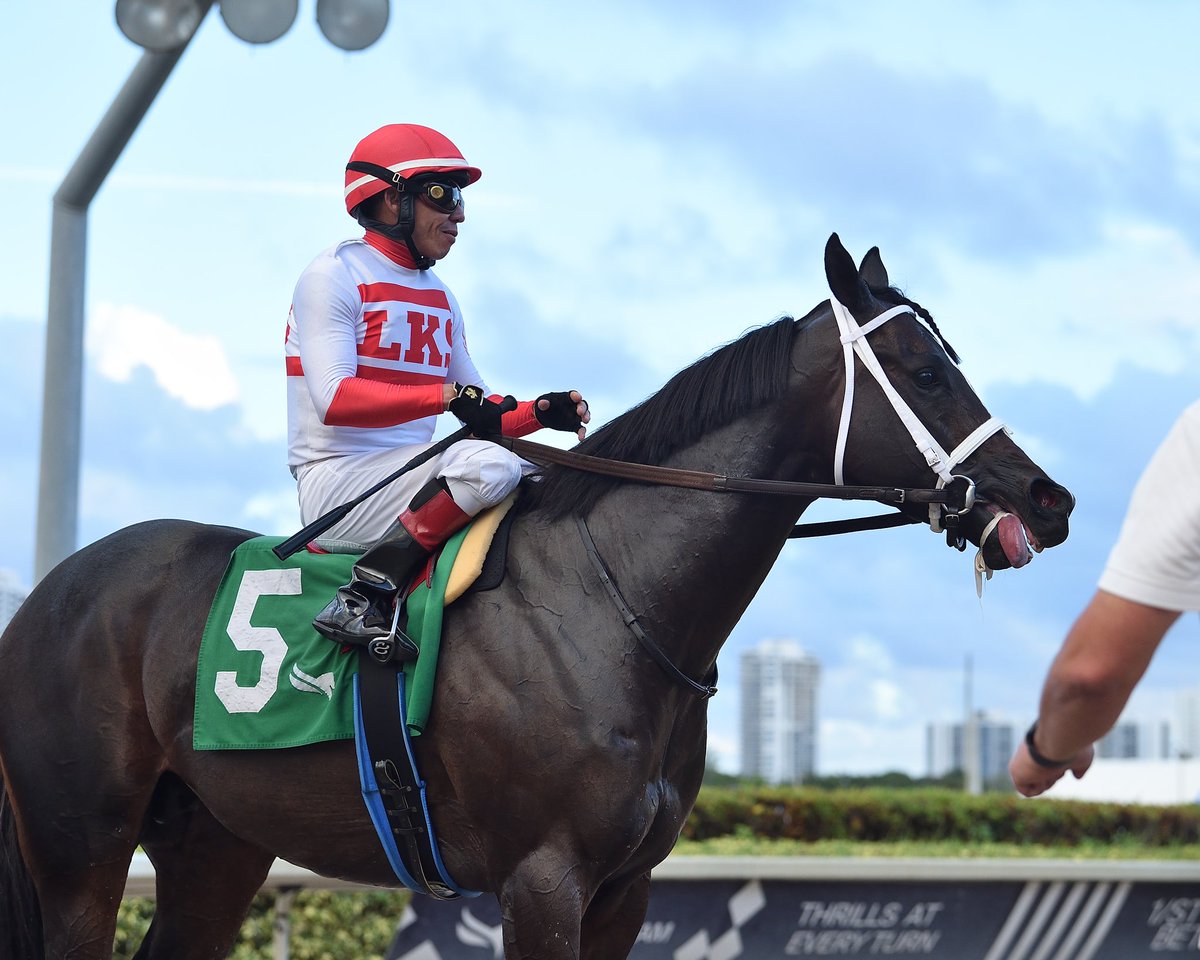 #25Nov Spy Hunter 

Jockey: Emisael Jaramillo
Trainer: Jose Francisco D’Angelo
Owner: Leon King Stable Corp
Allowance Optional Claiming $20,000 • Tapeta 

3️⃣0️⃣th victory for Jose Francisco D’Angelo #GulfstreamPark #SunshineMeet Saturday, November 25,  2023 

📸 @coglianesephoto