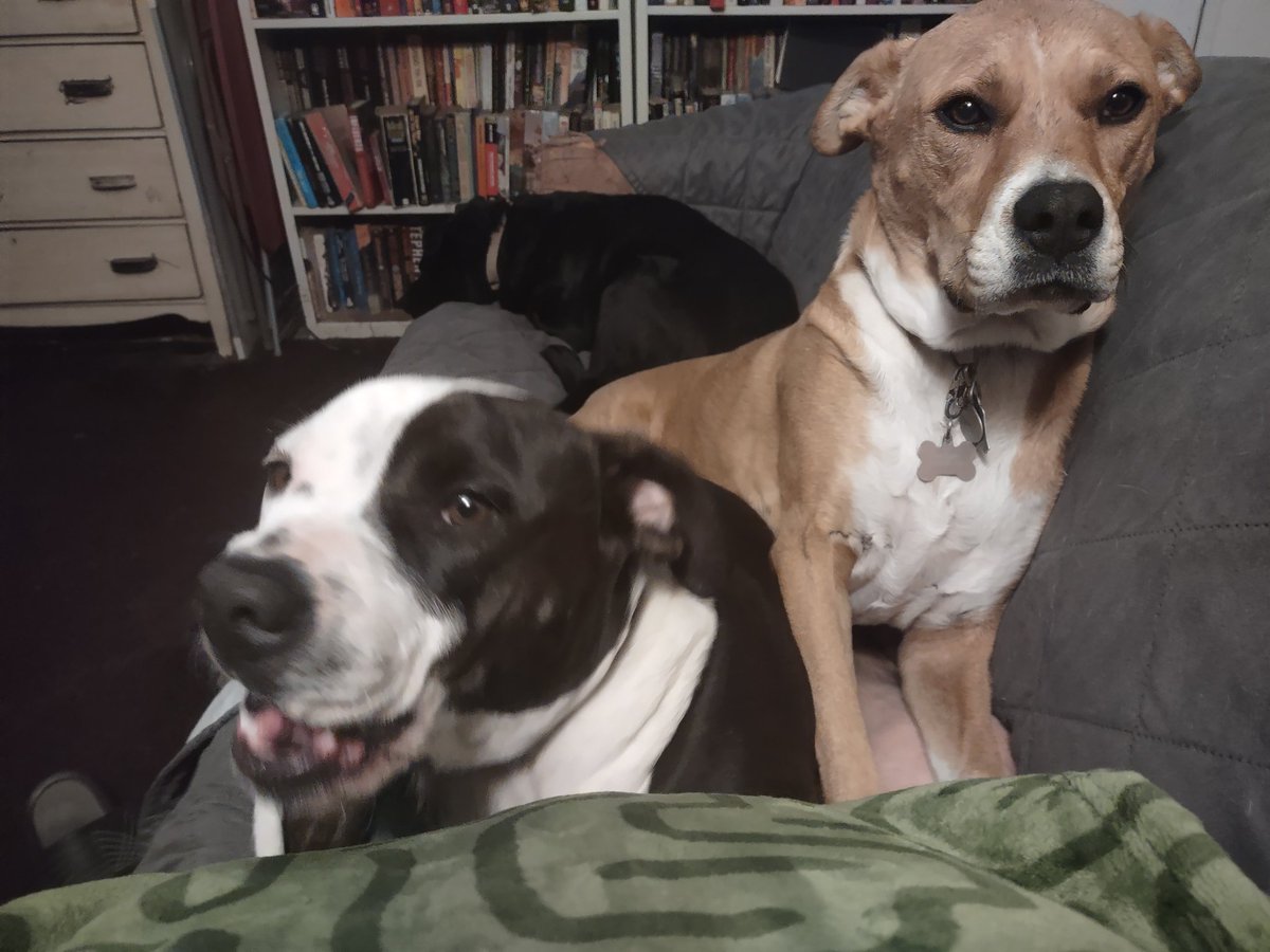 The couch is getting full. 🤣