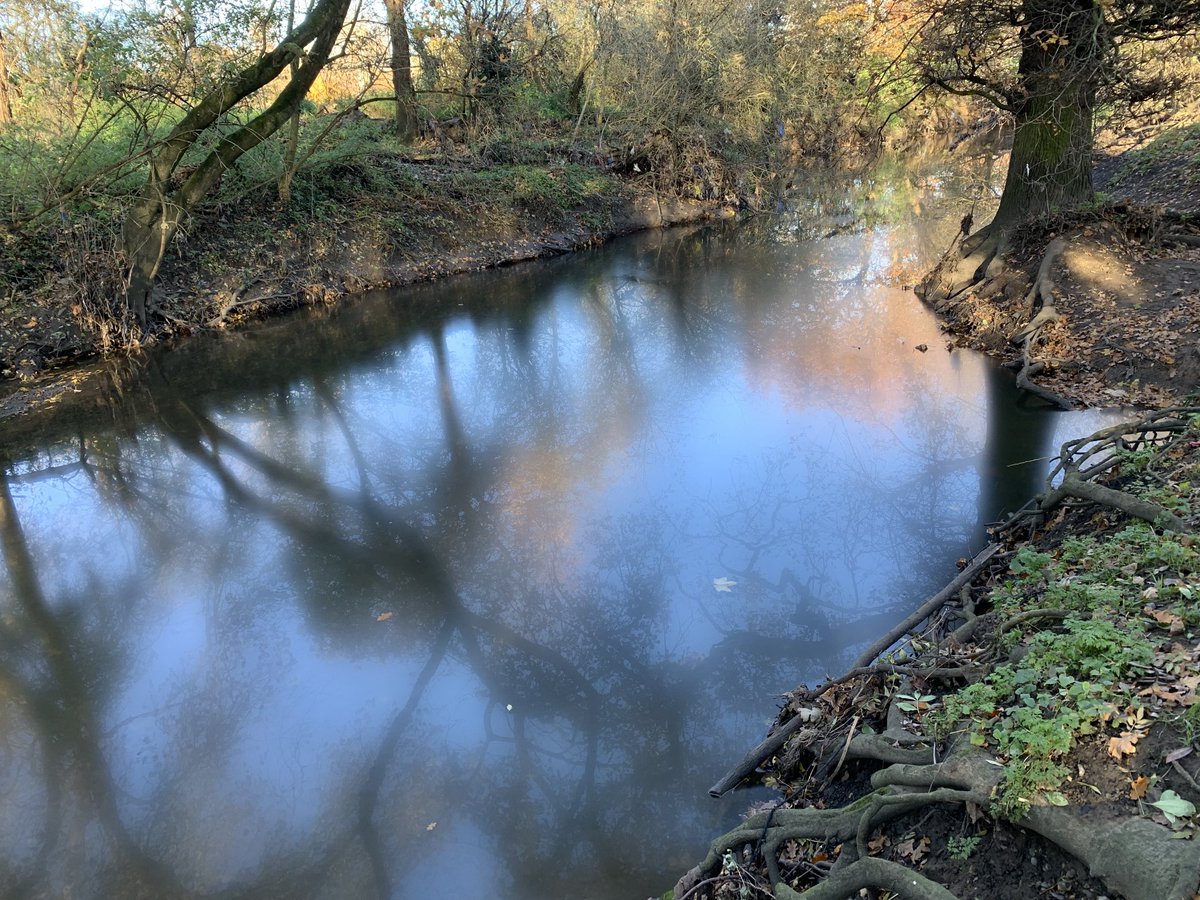 Yet again, this morning, the Brent is polluted. We were unable to identify the source. We are volunteers. This is not our job. But we will be extremely angry if we don’t see prosecutions for this and other events. Polluters must pay. This has to stop. This was reported to the EA