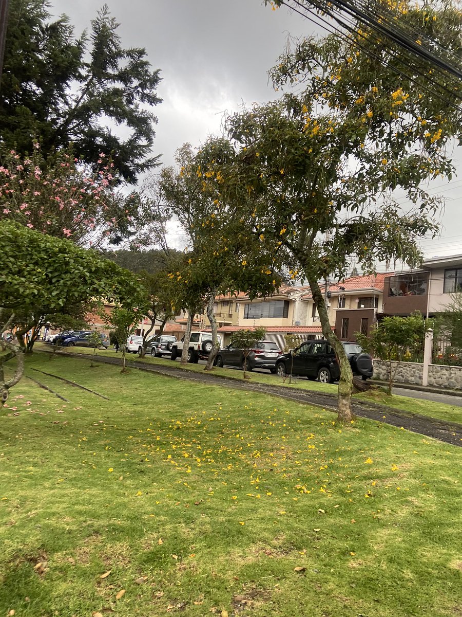 SuspiZ's tweet photo. @SupermaxiEcu donde están sus supuestos 800 parqueaderos para wayra plaza ! @emov_ep @czamoramatute es prioritario controlen esta situación no podemos entrar a nuestro domicilio la situación del tránsito es insoportable!!!! @EcuavisaInforma ayúdennos a defender nuestro espacio https://t.co/mCqKMv9A3K